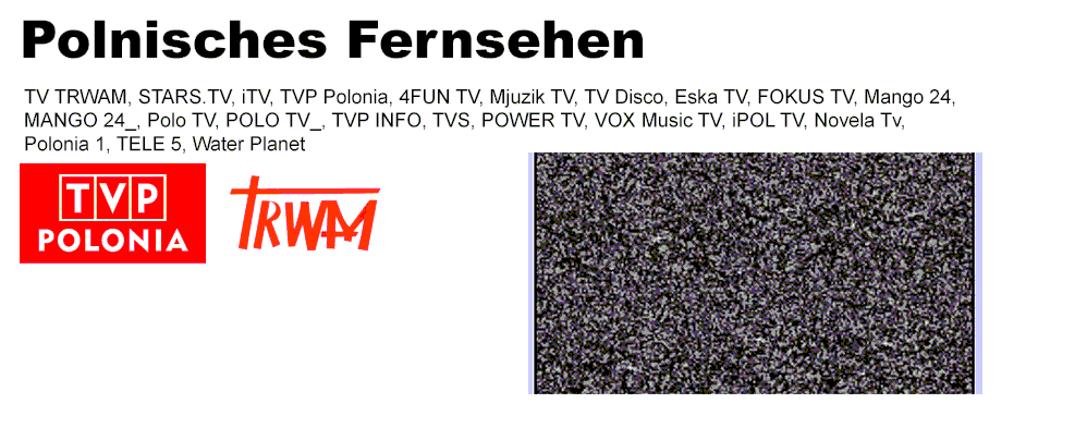 Polnisches Fernsehen