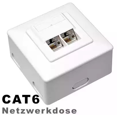 11111Wentronic CAT6AP-W Cat6 Netzwerkdose CAT6 AUP-W für Auf- und Unterputzmontage weiß
