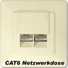 Cat6 Netzwerkdose f�r Aufputzmontage Farbe: elfenbein