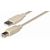 Verbindungskabel 1x USB Typ A Stecker auf 1x USB Typ B Stecker, beige, L�nge:  1,8m